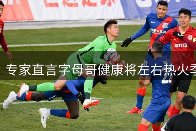 专家直言字母哥健康将左右热火季后赛命运