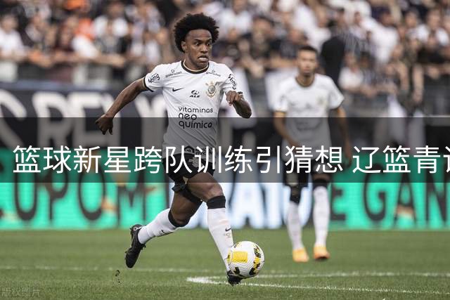 篮球新星跨队训练引猜想 辽篮青训魅力难挡却留憾